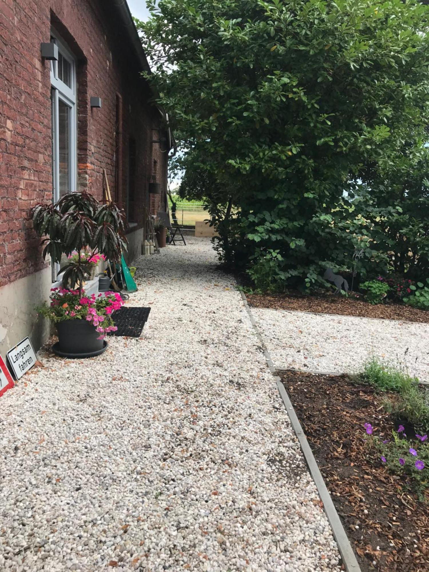 Ks Kotten Bed And Breakfast Rees Exterior foto